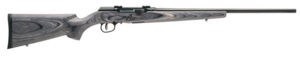 A17 17WSM 22" Satin Spt/Blk Sport 8rd