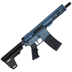 223WYLDE PSTL W/BRC 30RD BLU